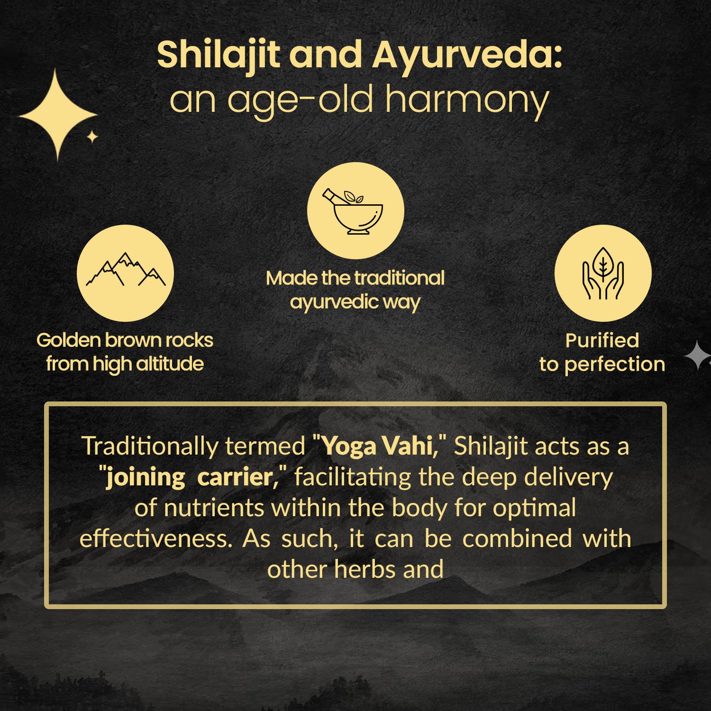 Activated Shilajit Resin