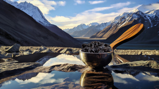 Himalayan Shilajit: conqueror of mountains and destroyer of weakness