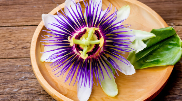 passion-flower-extract