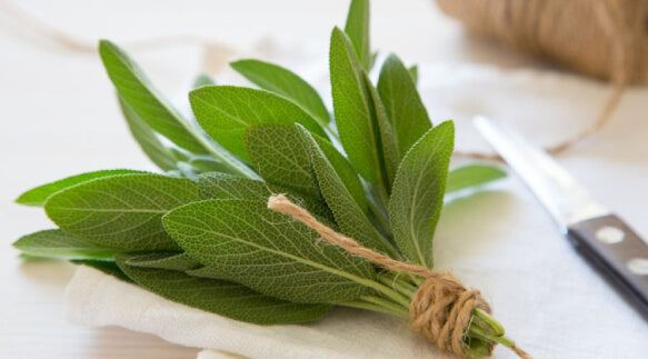 sage-extract